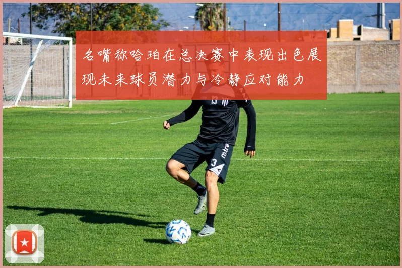 名嘴称哈珀在总决赛中表现出色展现未来球员潜力与冷静应对能力